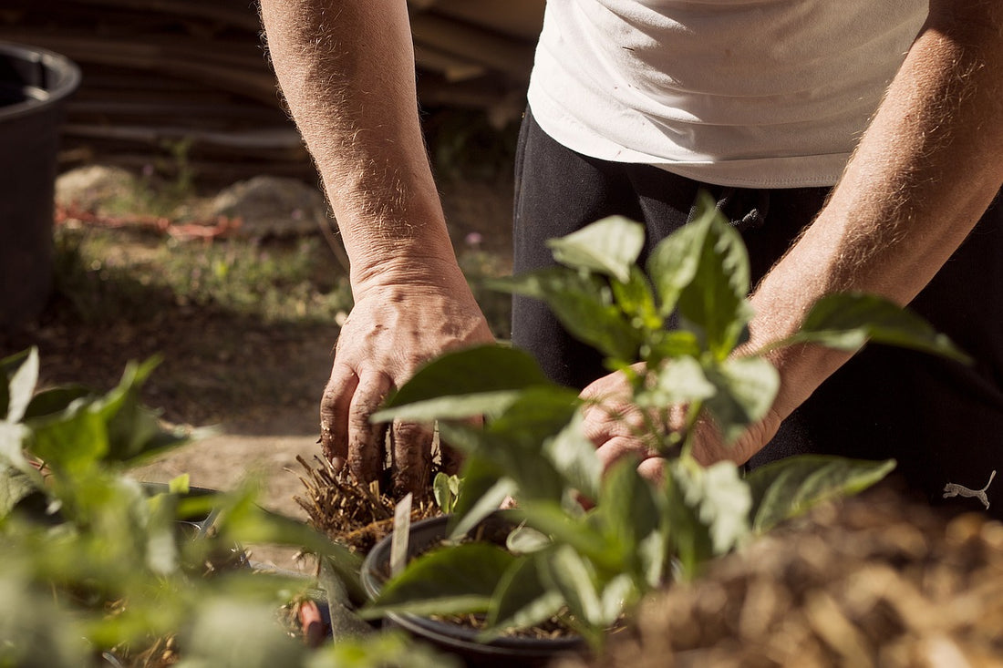 What Makes Eco-Friendliness Essential?